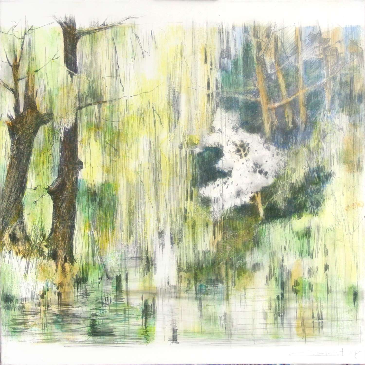Hanging Trees Above Water 2